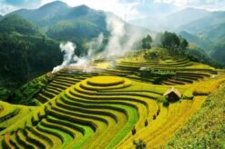 Tour Trong Nước