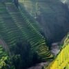 TP.HCM – LÀO CAI – TÚ LỆ - MÙ CANG CHẢI -SAPA – BẮC HÀ - MÙA LÚA CHÍN 5N4Đ - Ảnh 2
