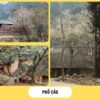 Tour Đông Bắc Tây Bắc: Hà Nội - Hà Giang - Sapa (Bao gồm vé máy bay) - Ảnh 4