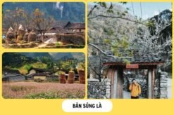 Tour Tây Bắc - Đông Bắc: Hà Nội - Hà Giang - Sapa (Bao gồm vé máy bay)