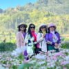 Tour Du Lịch Hà Nội - Hà Giang - Mùa Tam Giác Mạch - Ảnh 2
