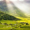 TP.HCM – LÀO CAI – TÚ LỆ - MÙ CANG CHẢI -SAPA – BẮC HÀ - MÙA LÚA CHÍN 5N4Đ - Ảnh 5