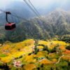 TP.HCM – LÀO CAI – TÚ LỆ - MÙ CANG CHẢI -SAPA – BẮC HÀ - MÙA LÚA CHÍN 5N4Đ - Ảnh 4