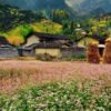 HÀ GIANG - CAO NGUYÊN ĐÁ ĐỒNG VĂN - ĐÈO MÃ PÍ LÈNG - CỘT CỜ LŨNG CÚ - BẢN LÔ LÔ CHẢI - Ảnh 5