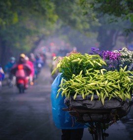 Miền Bắc