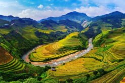 TP.HCM – TRẠM TẤU – MÙ CANG CHẢI – CU VAI